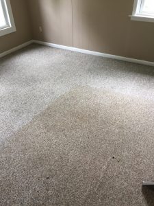 How often should you clean your carpets